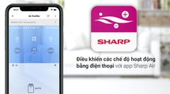 Máy lọc không khí Sharp FP-J80EV-H 48W ảnh 3