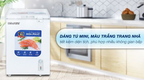 Tủ đông Hòa Phát 107 lít HPF AN6107
