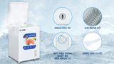  Tủ đông Hòa Phát 107 lít HPF AN6107 
