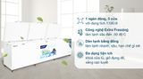  Tủ đông Hòa Phát 1190 lít HPF AD61190 