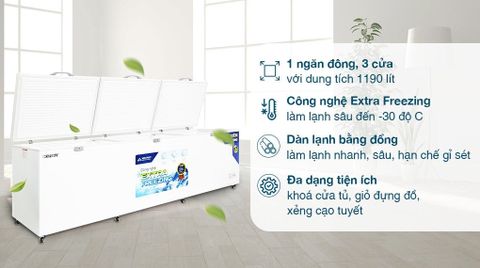 Tủ đông Hòa Phát 1190 lít HPF AD61190