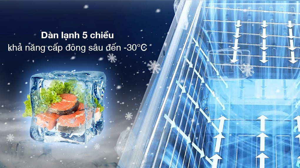 Tủ đông Aqua Inverter 301 lít AQF-C4001E – ảnh 4