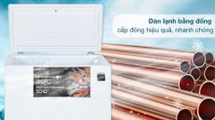 Tủ đông Aqua Inverter 301 lít AQF-C4001E ảnh 6