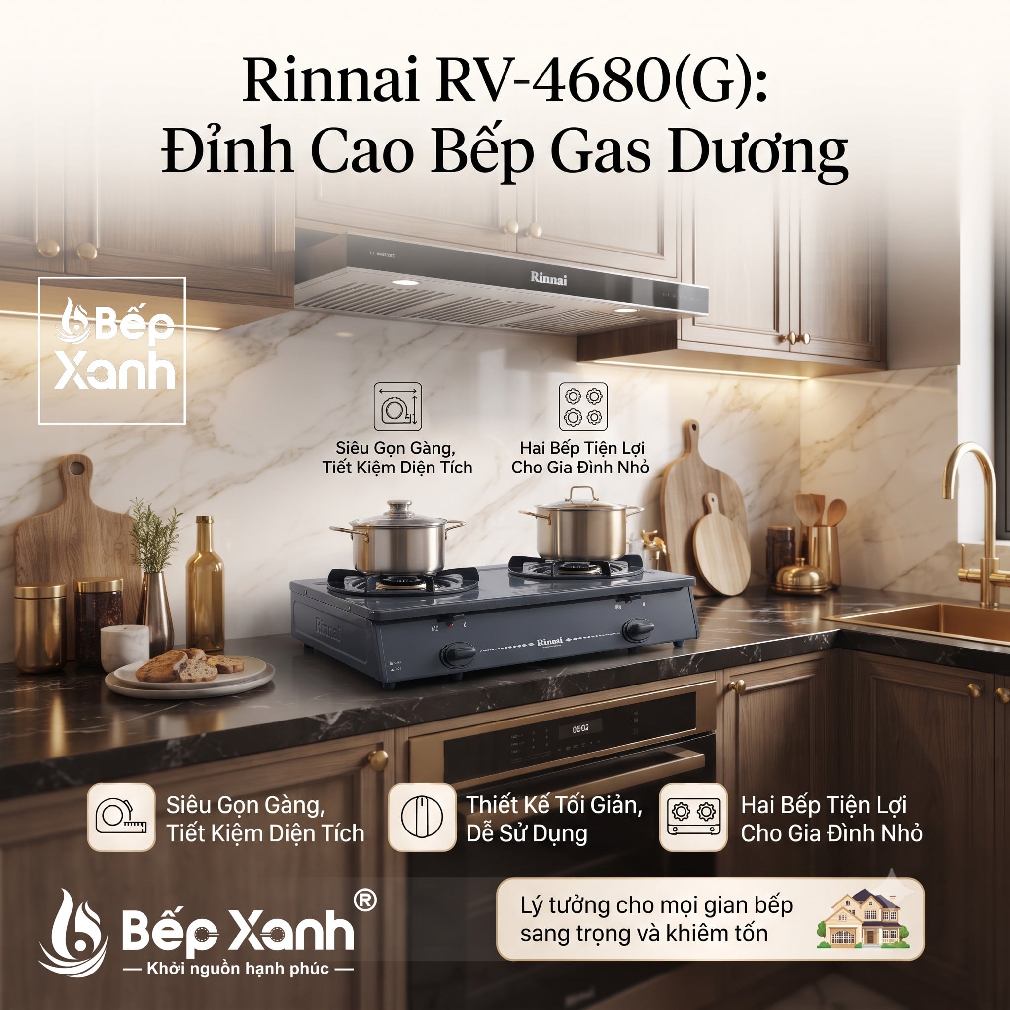 Bếp gas dương Rinnai RV-4680(G) 590mm 2 lò nấu, mặt thép phủ men – ảnh 6
