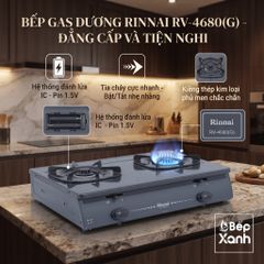 Bếp gas dương Rinnai RV-4680(G) 590mm 2 lò nấu, mặt thép phủ men ảnh 2