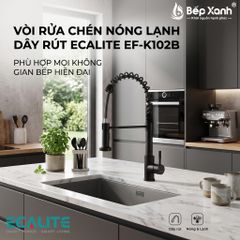 Vòi rửa chén nóng lạnh Single Control Ecalite EF-K102B ảnh 6