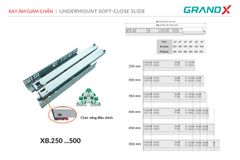 Ray âm toàn phần giảm chấn betelgeuse 4D GrandX XB.500 ảnh 2