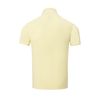  Áo Polo Vàng 