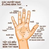  Dụng cụ massage bàn lăn tay 