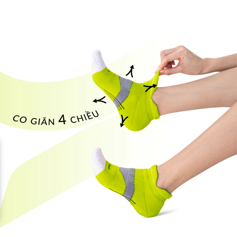 Màu dễ sử dụng