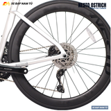  Xe Đạp Đua Nesto Ostrich – Khung Carbon Tiêu Chuẩn UCI, Group Shimano 105 Hiệu Suất Cao 