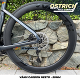  Xe Đạp Đua Nesto Ostrich – Khung Carbon Tiêu Chuẩn UCI, Group Shimano 105 Hiệu Suất Cao 