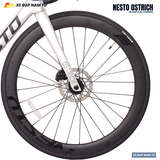  Xe Đạp Đua Nesto Ostrich – Khung Carbon Tiêu Chuẩn UCI, Group Shimano 105 Hiệu Suất Cao 