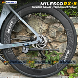  XE ĐẠP ĐUA MILESCO RX-S GHI ĐÔNG CÁ MẬP, TRỤC CỐT RỖNG, TAY ĐỀ LẮC 