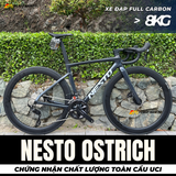  Xe Đạp Đua Nesto Ostrich – Khung Carbon Tiêu Chuẩn UCI, Group Shimano 105 Hiệu Suất Cao 