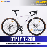  XE ĐẠP ĐUA DTFLY T-200 GHI ĐÔNG CÁ MẬP, GROUPSET SHIMANO, CỐI NỔ LỚN 
