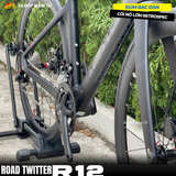  Xe đạp đua Twitter R12, Khung carbon, Group Retrospec 2x12 cấp 