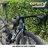  Xe Đạp Đua Nesto Ostrich – Khung Carbon Tiêu Chuẩn UCI, Group Shimano 105 Hiệu Suất Cao 