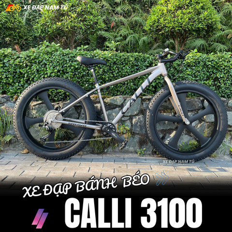  XE ĐẠP BÁNH BÉO CALLI 3100 