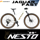 XE ĐẠP MTB NESTO JAGUAR FAST 29IN - GROUP SHIMANO DEORE XT M8100 