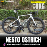  Xe Đạp Đua Nesto Ostrich – Khung Carbon Tiêu Chuẩn UCI, Group Shimano 105 Hiệu Suất Cao 