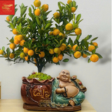  Chậu Cây Bon Sai Tượng Di Lạc -Sứ Bát Tràng 