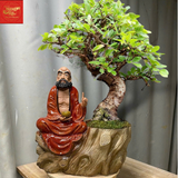  Chậu Cây Bon Sai Đạt Ma Sư Tổ -Sứ Bát Tràng 