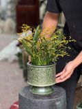  Chậu trồng lan khắc nổi H17 