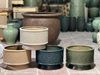  Chậu Hoa Khắc Nổi Dáng thấp 