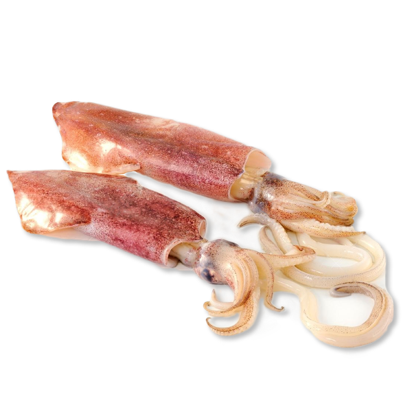 Mực ống làm sạch