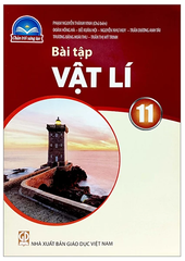 Bài Tập Vật Lí Lớp 11 Chân Trời Sáng Tạo (Chuẩn)