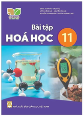 Bài Tập Hoá Học Lớp 11 Kết Nối Tri Thức (Chuẩn)
