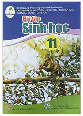 Bài Tập Sinh Học Lớp 11 Cánh Diều (Chuẩn)