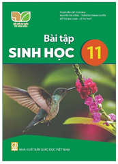 Bài Tập Sinh Học Lớp 11 Kết Nối Tri Thức (Chuẩn)