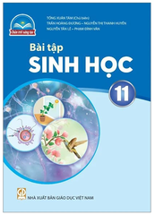 Bài Tập Sinh Học Lớp 11 Chân Trời Sáng Tạo (Chuẩn)