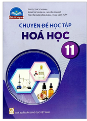 Chuyên Đề Học Tập Hoá Học Lớp 11 Chân Trời Sáng Tạo (Chuẩn)