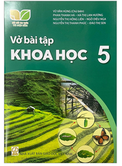 Vở Bài Tập Khoa Học Lớp 5 Bộ Kết Nối (Chuẩn)