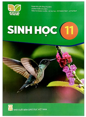 Sách Sinh Học Lớp 11 Kết Nối Tri Thức (Chuẩn)