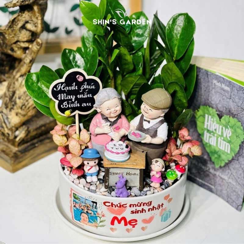 Tiểu cảnh cây kim tiền để bàn | SH0002 | Chậu sứ họa tiết | 40 - 60 cm | Tài lộc, May mắn, Thịnh vượng | Shin's Garden