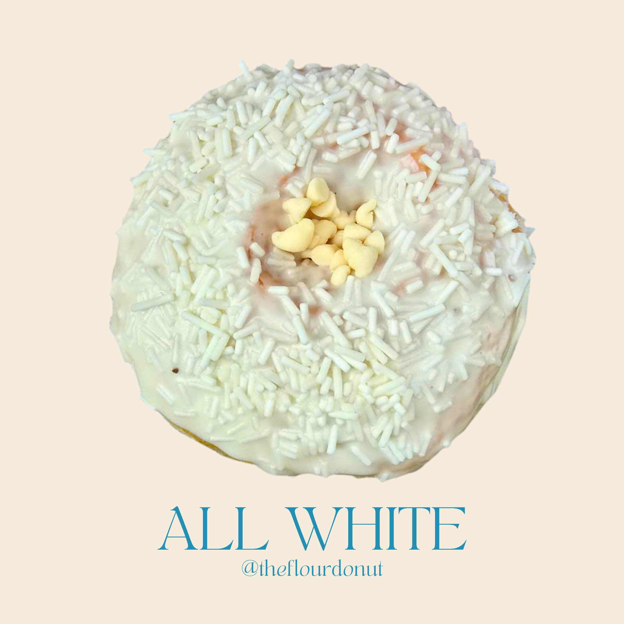 ALL WHITE DONUT 