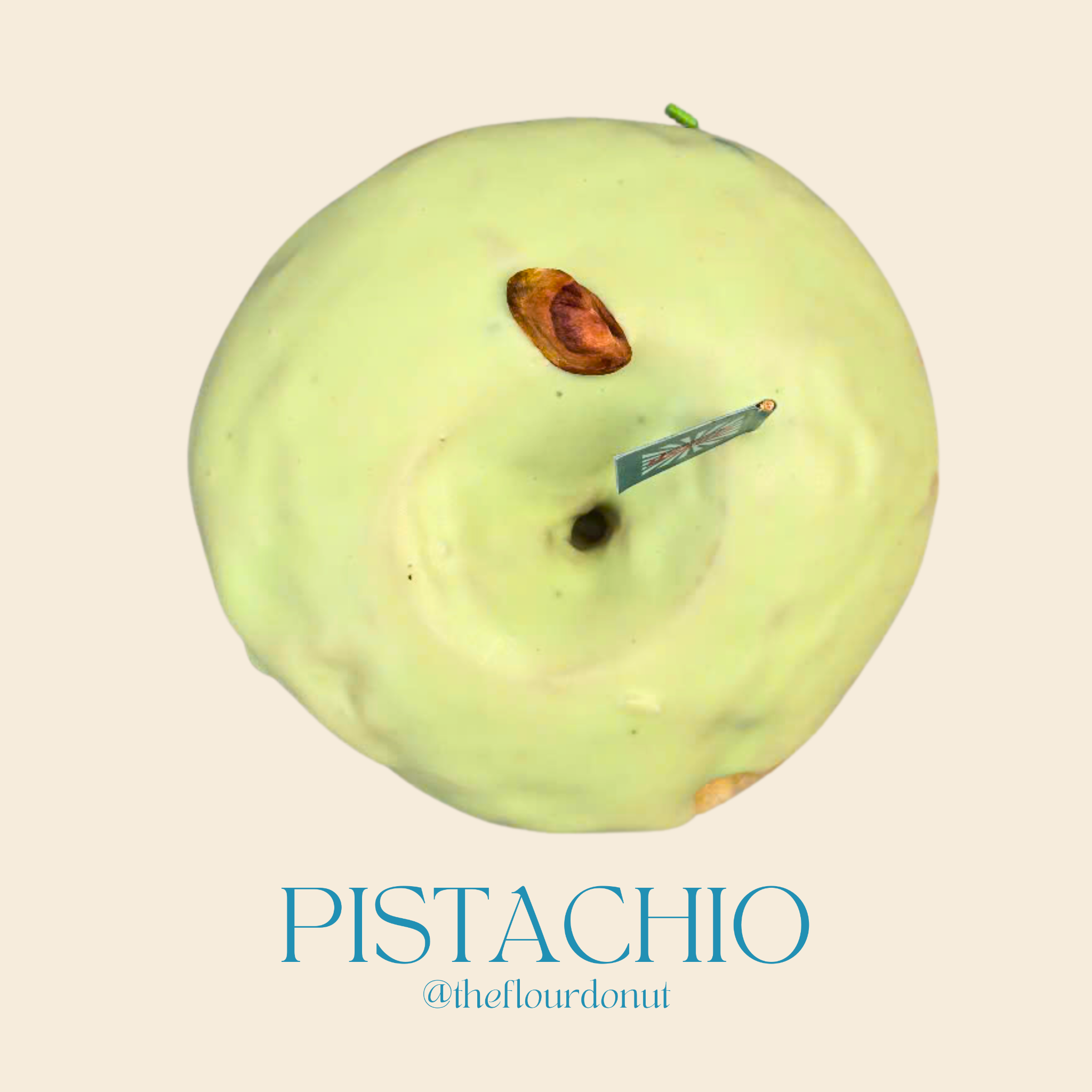  PISTACHIO DONUT 