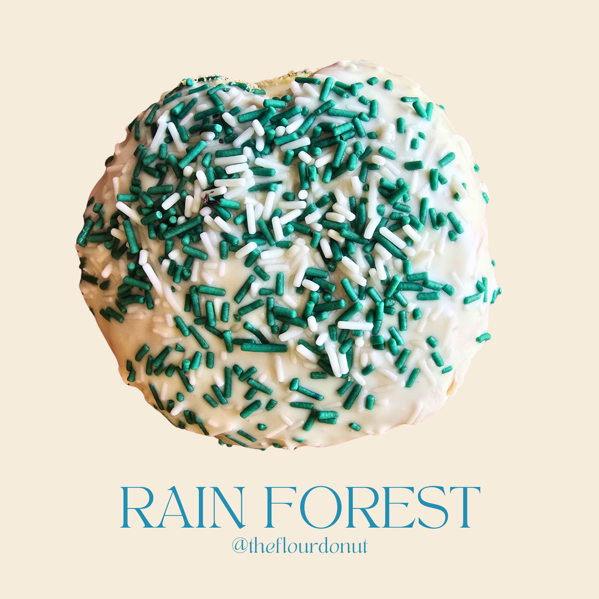  RAIN FOREST DONUT 
