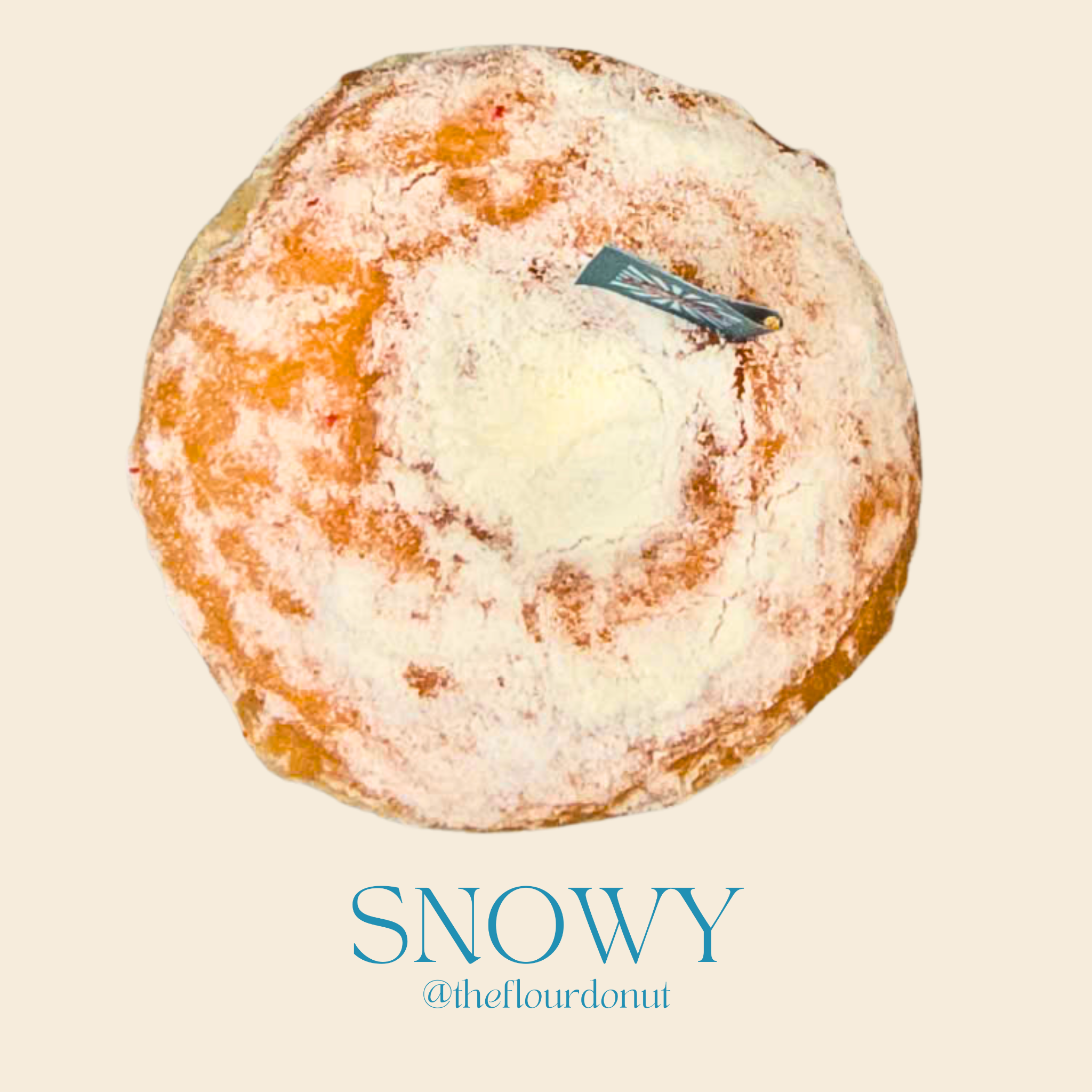  SNOWY DONUT 