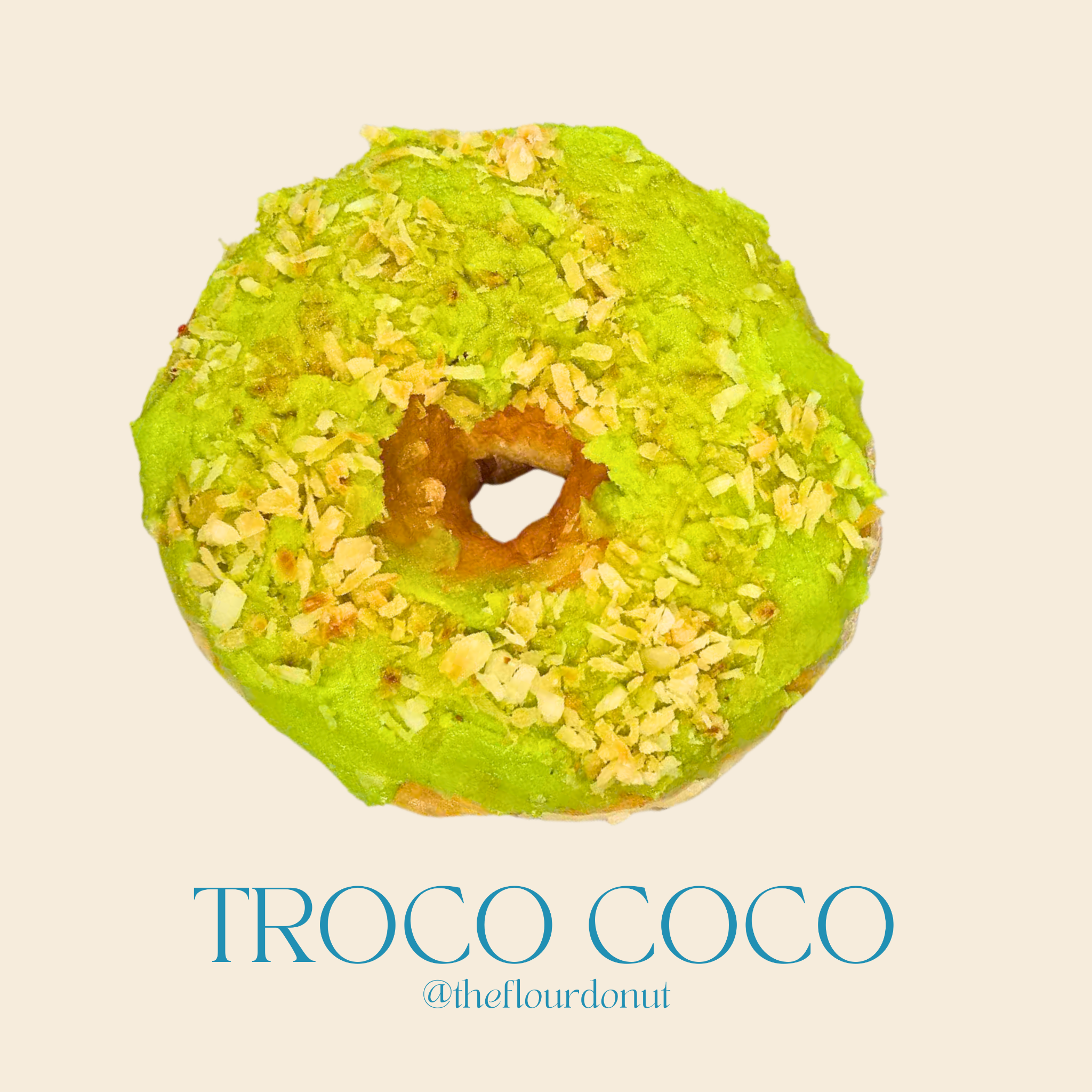  TROCO COCO DONUT 