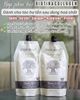 Kem Ủ Phục Hồi Tóc Hư Tổn Biotin & Collagen Pasiori Professional Voudioty Hair Mask 500ml