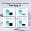 Serum Beplain Rau Má PDRN Phục Hồi, Cấp Ẩm, Căng Bóng Da 30ml Cica PDRN Skin Booster Serum