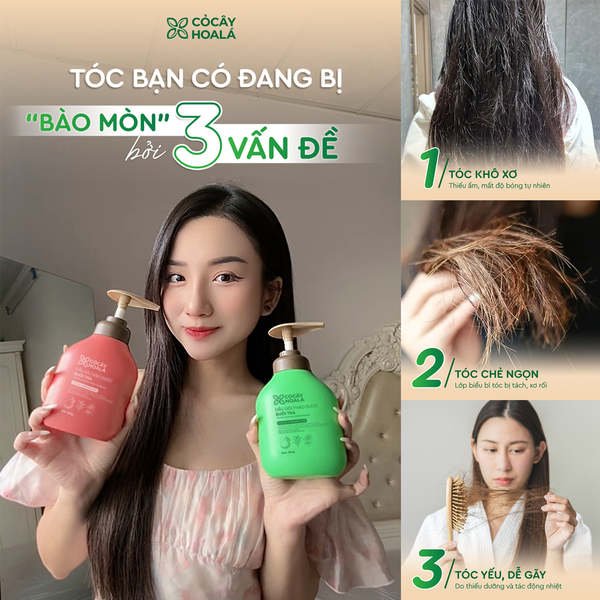 Combo Gội Xả Thảo Dược Bưởi Trà 500g