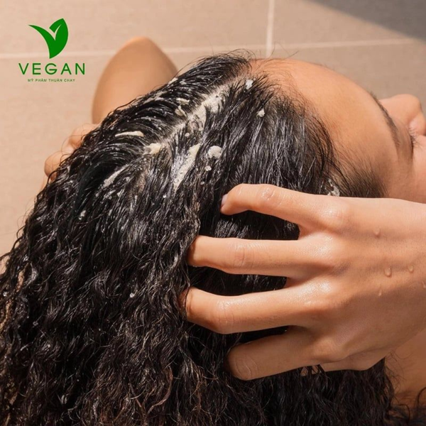 Tẩy Tế Bào Chết Da Đầu Bồ Kết Cocoon Gleditsia Scalp Scrub Giảm Ngứa, Giúp Tóc Bồng Bềnh 200ml