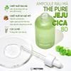 Tinh Chất PrettySkin The Pure Jeju Cica 80 Ampoule Chiết Xuất Rau Má 50ml