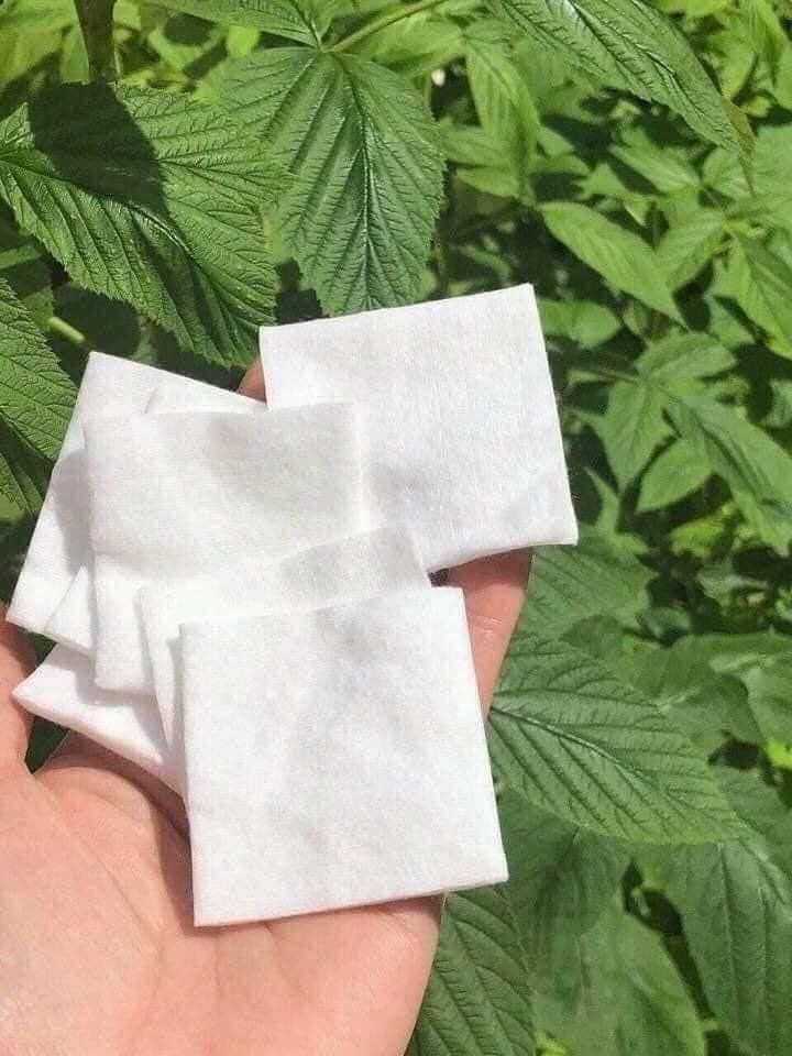 Bông tẩy trang S+ Care Pháp - 500 miếng